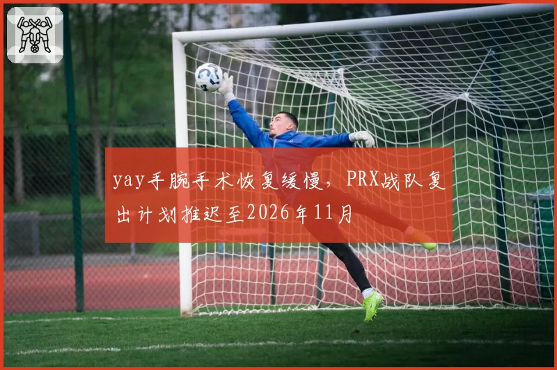 yay手腕手术恢复缓慢,PRX战队复出计划推迟至2026年11月