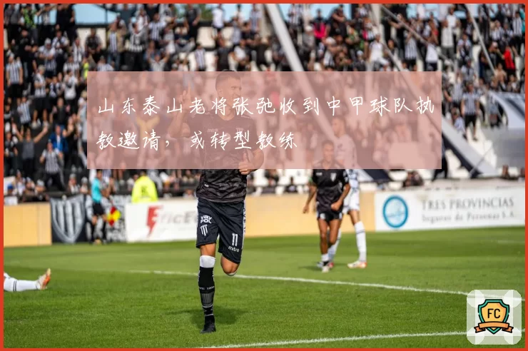山东泰山老将张弛收到中甲球队执教邀请,或转型教练