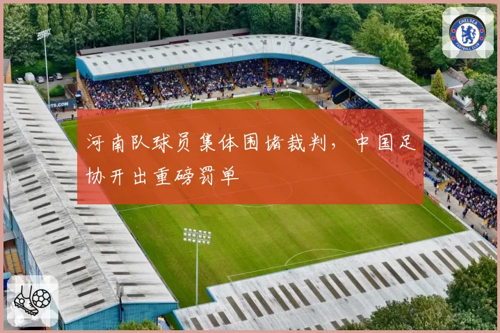 河南队球员集体围堵裁判,中国足协开出重磅罚单