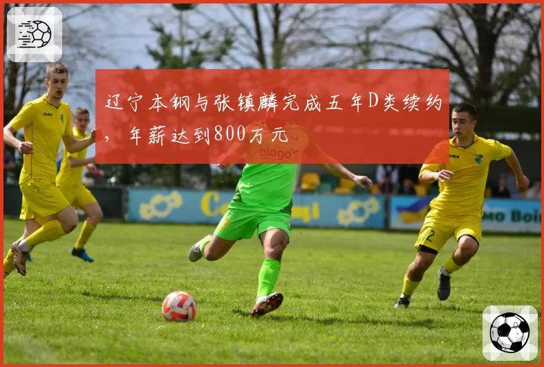 辽宁本钢与张镇麟完成五年D类续约，年薪达到800万元