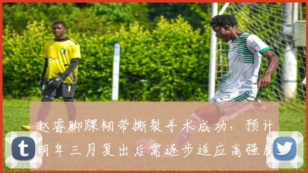 赵睿脚踝韧带撕裂手术成功,预计明年三月复出后需逐步适应高强度对抗